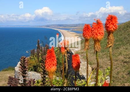 Chesil Beach, una spiaggia di 18 km di lunghezza, da Portland a West Bay, e uno dei luoghi di interesse più rappresentativi del Dorset, il Regno Unito Foto Stock