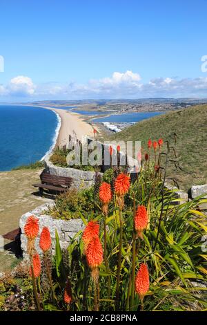 Chesil Beach, una spiaggia di 18 km di lunghezza, da Portland a West Bay, e uno dei luoghi di interesse più rappresentativi del Dorset, il Regno Unito Foto Stock