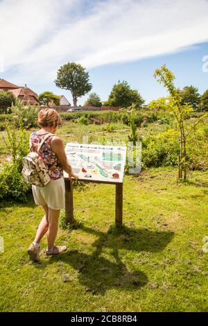 Donna che legge la bacheca presso i letti di crescione in Il villaggio Oxfordshire di Ewelme Foto Stock