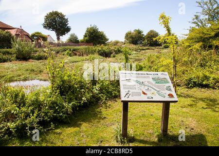 La riserva naturale dei letti d'acqua nel villaggio di Oxfordshire Di Ewelme Foto Stock