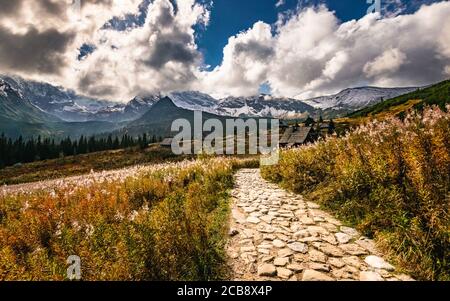 Foto grandangolare della valle di Hala Gasienicowa, High Tatra, Polonia, Europa. Foto Stock
