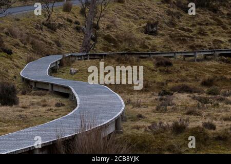 Tortuosa passerella in legno nel Cradle Valley del Cradle Mountain National Park in Tasmania, Australia. Foto Stock