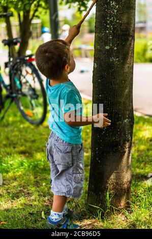 POZNAN, POLONIA - 26 luglio 2020: Bambino giovane che tocca un albero con un ramoscello in un parco in una giornata di sole nel quartiere Orla Bialego. Foto Stock