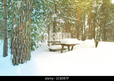 Panchine e un tavolo sotto un cappello da neve in una foresta di pini d'inverno. Cartolina di Natale con un umore invernale Foto Stock