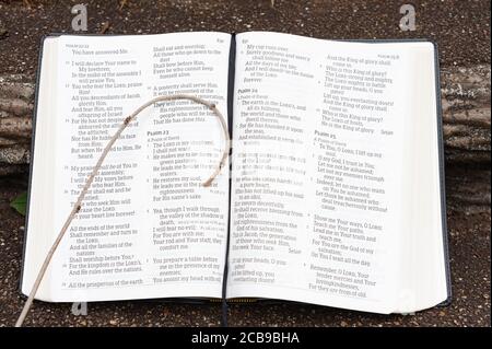 Sacra Bibbia aperta con un piccolo staff in cima. Evidenziazione del Salmo 23. All'aperto su gradini. Shot orizzontale. Foto Stock