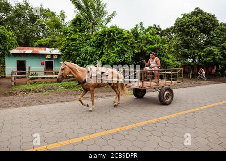 Isola di Ometepe / Nicaragua - 15 luglio 2019: Uomo del Nicaragua che guida carrello trainato da cavalli sulla strada rurale dell'isola di Ometepe Foto Stock