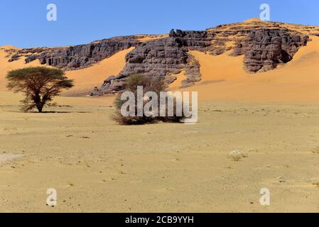 GRANDI DUNE DI SABBIA E FORMAZIONI ROCCIOSE A TADRART, ALGERIA. SAFARI E TURISMO IN ALGERIA. Foto Stock