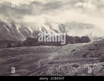 Vista a distanza dei cedri del Libano, ca. 1857. Foto Stock