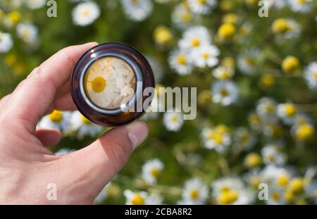 Globuli omeopatici in piccole bottiglie, concetto di omeopatia Foto Stock