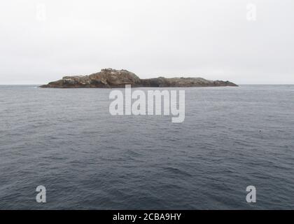 Isole Bounty, Nuova Zelanda, Isole Bounty Foto Stock