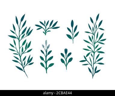 Set di rami con foglie ed erbe per il design e. la tua creatività Illustrazione Vettoriale