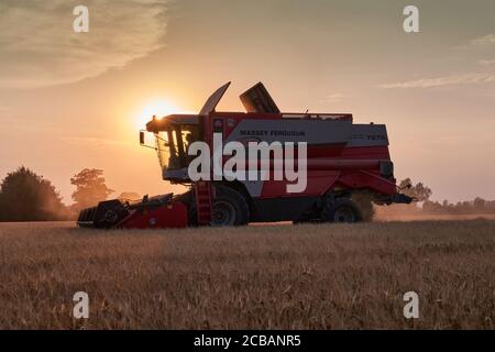 Mietitrebbia Massey Ferguson in un campo del lincolnshire con un il glorioso tramonto dietro la creazione di un effetto sunstar sui piloti cabina Foto Stock