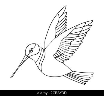 Vettore linea ART monocromo volare uccello humming. Illustrazione del contorno nero isolata su sfondo bianco. Illustrazione di stock per libro da colorare, disegno, Illustrazione Vettoriale