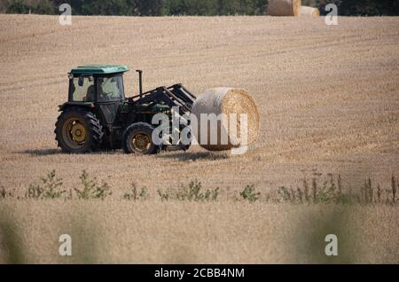 Westerham, Kent, 12 agosto 2020, dopo aver guarito il fieno per circa tre giorni, un agricoltore a Westerham Kent carica le sue balle di fieno su un rimorchio con un trattore pronto per essere rimosso dal campo. Il fieno può essere raccolto due o tre volte l'anno, il primo taglio ha generalmente il rendimento più grande. Credit: Keith Larby/Alamy Live News Foto Stock