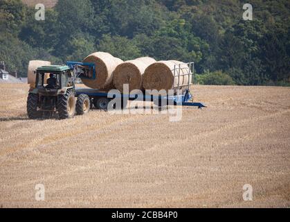 Westerham, Kent, 12 agosto 2020, dopo aver guarito il fieno per circa tre giorni, un agricoltore a Westerham Kent carica le sue balle di fieno su un rimorchio con un trattore pronto per essere rimosso dal campo. Il fieno può essere raccolto due o tre volte l'anno, il primo taglio ha generalmente il rendimento più grande. Credit: Keith Larby/Alamy Live News Foto Stock