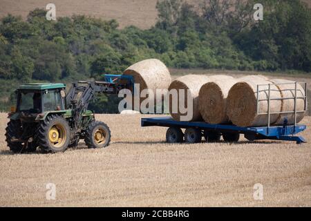 Westerham, Kent, 12 agosto 2020, dopo aver guarito il fieno per circa tre giorni, un agricoltore a Westerham Kent carica le sue balle di fieno su un rimorchio con un trattore pronto per essere rimosso dal campo. Il fieno può essere raccolto due o tre volte l'anno, il primo taglio ha generalmente il rendimento più grande. Credit: Keith Larby/Alamy Live News Foto Stock