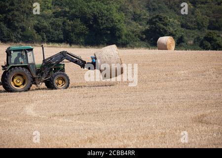 Westerham, Kent, 12 agosto 2020, dopo aver guarito il fieno per circa tre giorni, un agricoltore a Westerham Kent carica le sue balle di fieno su un rimorchio con un trattore pronto per essere rimosso dal campo. Il fieno può essere raccolto due o tre volte l'anno, il primo taglio ha generalmente il rendimento più grande. Credit: Keith Larby/Alamy Live News Foto Stock