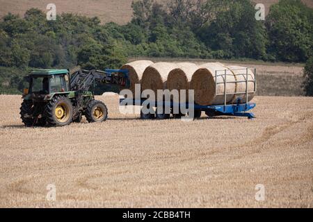 Westerham, Kent, 12 agosto 2020, dopo aver guarito il fieno per circa tre giorni, un agricoltore a Westerham Kent carica le sue balle di fieno su un rimorchio con un trattore pronto per essere rimosso dal campo. Il fieno può essere raccolto due o tre volte l'anno, il primo taglio ha generalmente il rendimento più grande. Credit: Keith Larby/Alamy Live News Foto Stock