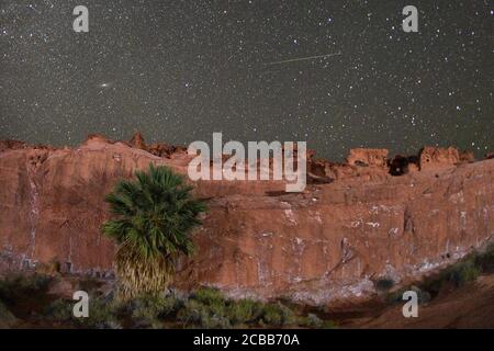 11 agosto 2020 - Gold Butte National Monument, Nevada, Stati Uniti - UNA meteora Perseide striscia attraverso il cielo sopra la piccola Finlandia, un altopiano di arenaria rossa e arancione che è stato pesantemente eroso in complesse e complesse formazioni rocciose il 11 agosto 2020. La mostra annuale, conosciuta come la doccia Perseidi perché le meteore sembrano irradiare dalla costellazione Perseo nel cielo nordorientale, è un risultato dell'orbita terrestre che passa attraverso i detriti della cometa Swift-Tuttle. Credit: ZUMA Press, Inc./Alamy Live News Foto Stock