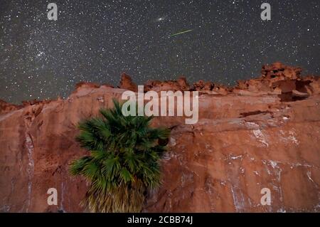 11 agosto 2020 - Gold Butte National Monument, Nevada, Stati Uniti - UNA meteora Perseide striscia attraverso il cielo sopra la piccola Finlandia, un altopiano di arenaria rossa e arancione che è stato pesantemente eroso in complesse e complesse formazioni rocciose il 11 agosto 2020. La mostra annuale, conosciuta come la doccia Perseidi perché le meteore sembrano irradiare dalla costellazione Perseo nel cielo nordorientale, è un risultato dell'orbita terrestre che passa attraverso i detriti della cometa Swift-Tuttle. Credit: ZUMA Press, Inc./Alamy Live News Foto Stock