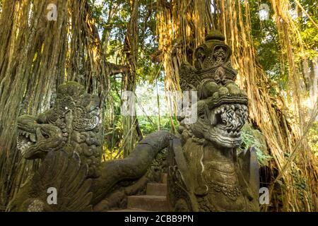 Paesaggio nella Foresta delle scimmie a Bali, Indonesia Foto Stock
