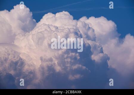 Wimbledon, Londra, Regno Unito. 12 agosto 2020. Grandi formazioni nuvolose di Cumulonimbus su Londra con il suono lontano del tuono in un pomeriggio caldo e appiccicoso nella capitale. Credit: Malcolm Park/Alamy Live News. Foto Stock