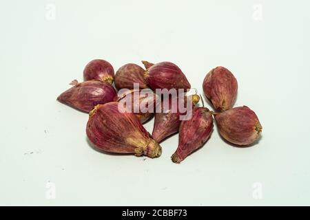 Aglio fresco e giovane isolato su sfondo bianco. Testa di aglio e spicchi d'aglio. Aglio fresco. Medicina naturale e concetto alimentare Foto Stock