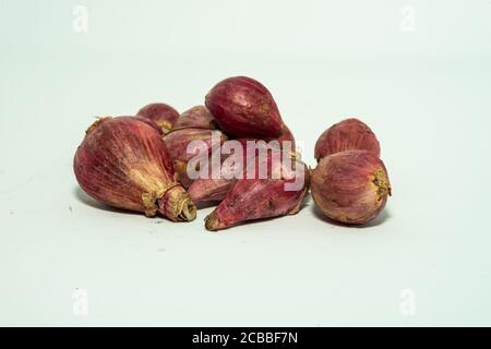 Aglio fresco e giovane isolato su sfondo bianco. Testa di aglio e spicchi d'aglio. Aglio fresco. Medicina naturale e concetto alimentare Foto Stock