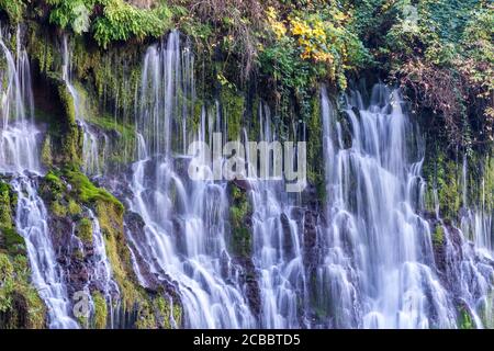 Cascata delle piume - dettaglio dell'origine delle Cascate di Burney. McArthur-Burney Falls state Park, California, Stati Uniti. Foto Stock