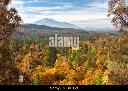 Pit Canyon Autunno - colori autunno grazia Pit Canyon, con cupola di lava dormiente Burney Mountain sullo sfondo. Fall River Mills, California, Stati Uniti Foto Stock