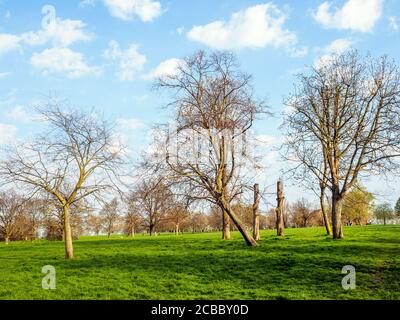 Parco dei fileds collinari - Londra, Inghilterra Foto Stock