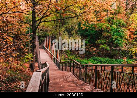 Ponte pedonale tra alberi d'autunno nel parco Foto Stock