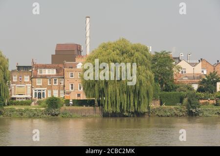 Fuller's Brewery Chiswick - fabbrica di birra Fuller, Smith & Turner Griffin a Chiswick, Londra, Regno Unito Foto Stock