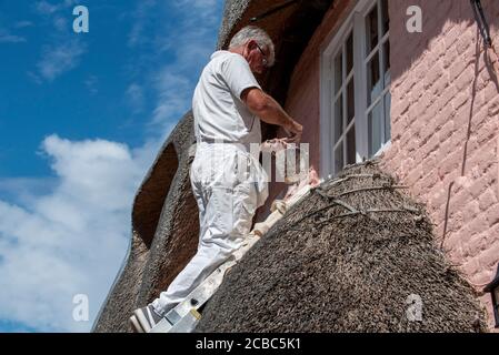 Hampshire, Inghilterra, Regno Unito. 2020. Pittore su una scala usando vernice bianca per lucidare le finestre superiori di una vecchia casa di paglia nel Regno Unito Foto Stock