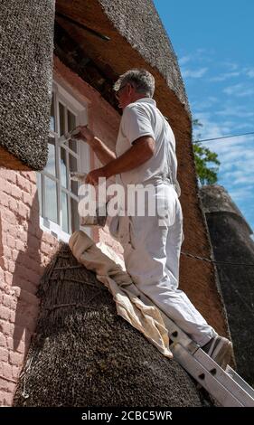 Hampshire, Inghilterra, Regno Unito. 2020. Pittore su una scala usando vernice bianca per lucidare le finestre superiori di una vecchia casa di paglia nel Regno Unito Foto Stock