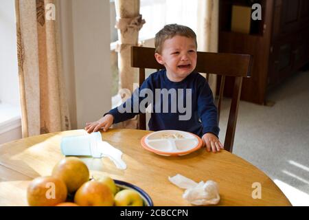 Un bambino di due anni piange dopo aver versato del latte sul tavolo della cucina. SIG. © Bob Daemmrich Foto Stock