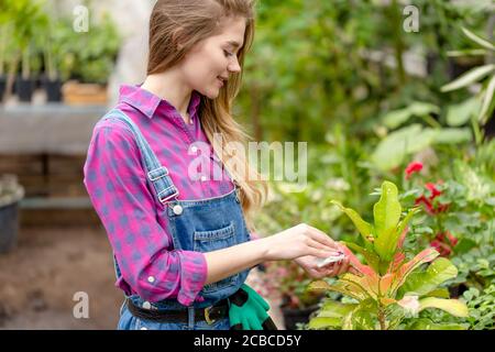 felice giovane ragazza che spolverano le foglie di fiori nella serra. primo piano vista laterale foto. stile di vita, tempo libero Foto Stock