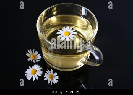 Tè camomilla in una tazza di vetro trasparente e fiori margherita su un tavolo scuro. Guarigione erbe bevanda in stagione di raffreddore e influenza Foto Stock