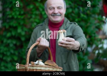 L'anziano raccoglie i funghi mostrando un cep dal cesto. Foto Stock