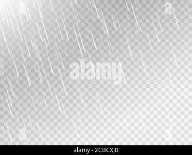 Pioggia su sfondo bianco trasparente. Texture pioggia. Tempesta di pioggia. Gocce d'acqua in caduta realistiche. Sfondo nuvoloso piovoso. Illustrazione vettoriale. Illustrazione Vettoriale