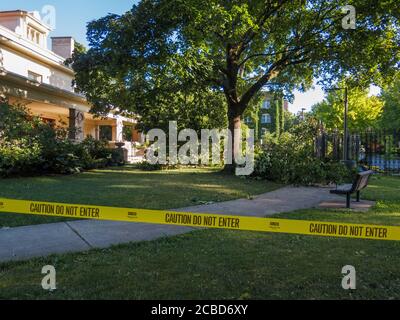 Rami di albero soffiati giù da derecho a casa piacevole. Oak Park, Illinois. Foto Stock