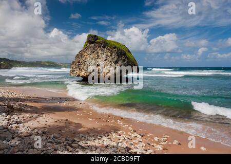 Eroso e stagionato funghi roccia formazione corallo nell'Oceano Atlantico al largo della costa orientale delle Barbados, Indie occidentali, Caraibi. Foto Stock