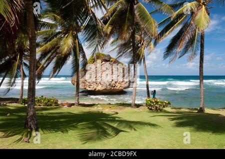 Eroso e stagionato funghi roccia formazione corallo nell'Oceano Atlantico al largo della costa orientale delle Barbados, Indie occidentali, Caraibi. Foto Stock