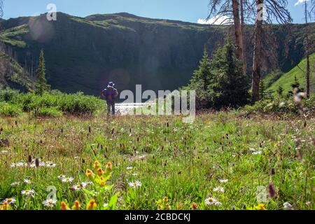 Escursionista con grande zaino si trova in prato con fiori selvatici vicino a un lago alpino chiamato [Ute] Lago nella Weminuche Wilderness vicino Creede, Colorado Foto Stock