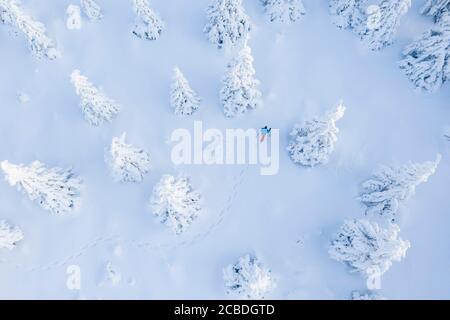 Vista aerea delle racchette da neve nella foresta di abeti innevati. Attività invernali all'aperto in vacanza e sport estremi. Foto Stock