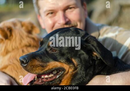 Ritratto dell'uomo maturo che abbraccia due cani mentre cammina. Felice caucasico di mezza età maschio con Rottweiler e rosso razza mista cane. Messa a fuoco selettiva. Foto Stock