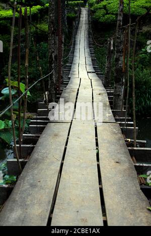 Un percorso in legno, 'Principessa delle colline', Kodaikanal è una delle destinazioni turistiche più popolari per la luna di miele in India del Sud. Foto Stock