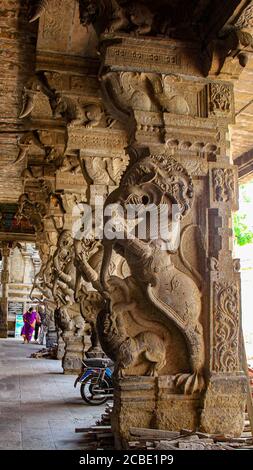 Famose sculture, il tempio di Srivilliputhur Andal, Tamil Nadu, è famoso per i suoi templi indù in stile dravidiana. Una terra di patrimonio culturale e religioso Foto Stock