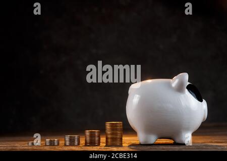 accumulo di denaro. airbag finanziario. banca piggy con monete Foto Stock