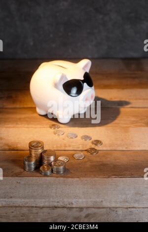 accumulo di denaro. airbag finanziario. banca piggy con monete Foto Stock